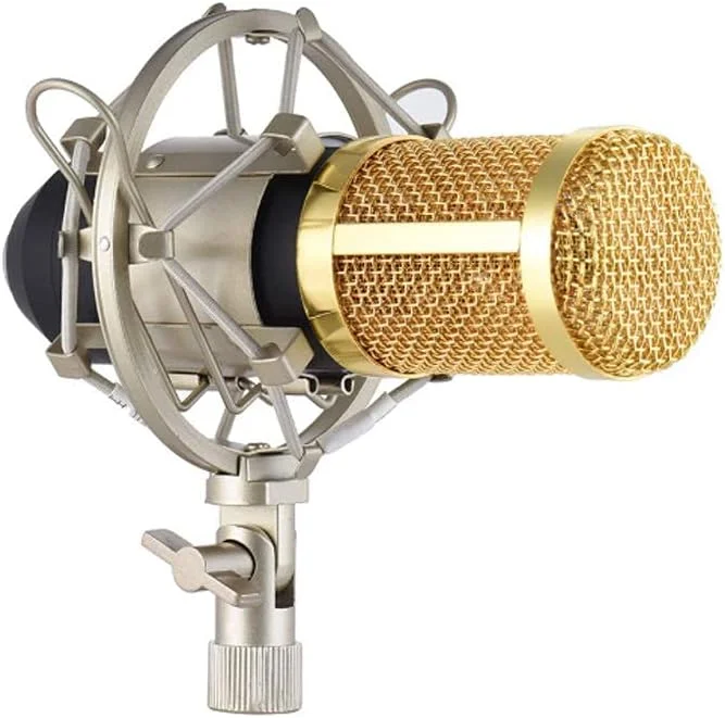 میکروفون کاندنسر، کیت میکروفون حرفه ای با پایه نگهدارنده برای پخش زنده و ضبط صدا به همراه لرزه گیر