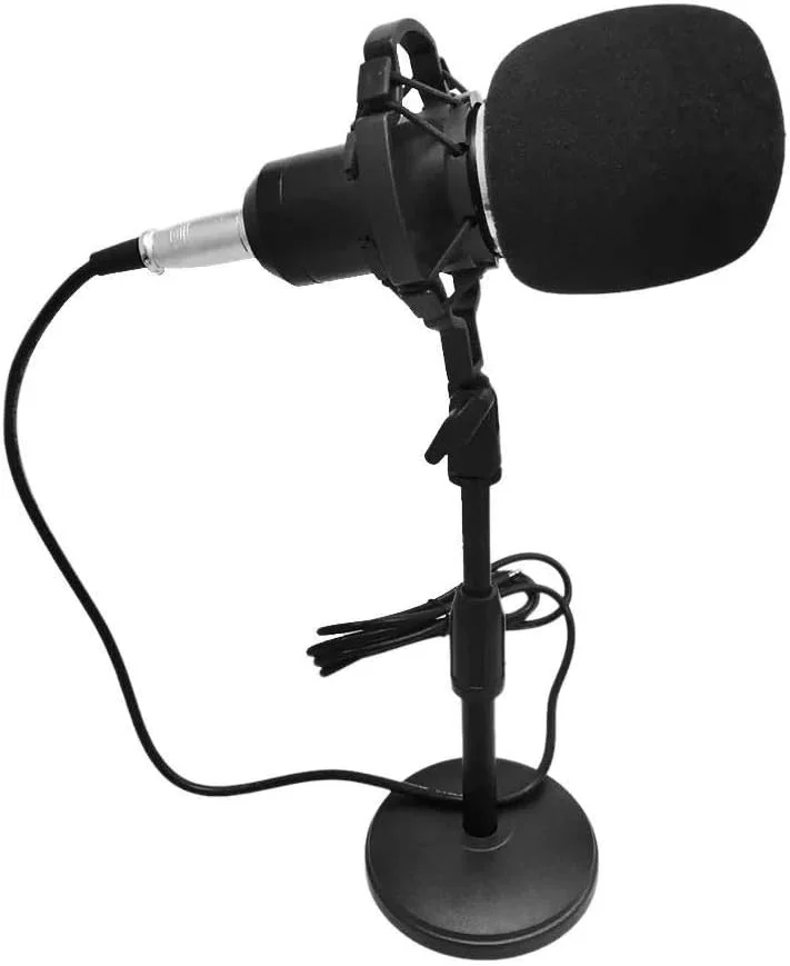 پایه میکروفون قابل حمل میکروفون با حساسیت بالا و نویز کم مناسب کامپیوتر، موبایل، استودیو، پخش زنده برای سازها و صداگذاری