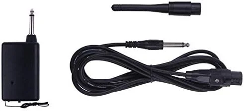 میکروفون حرفه ای 2 در 1 مدل W110 مناسب آواز، کارائوکه و اجرای زنده