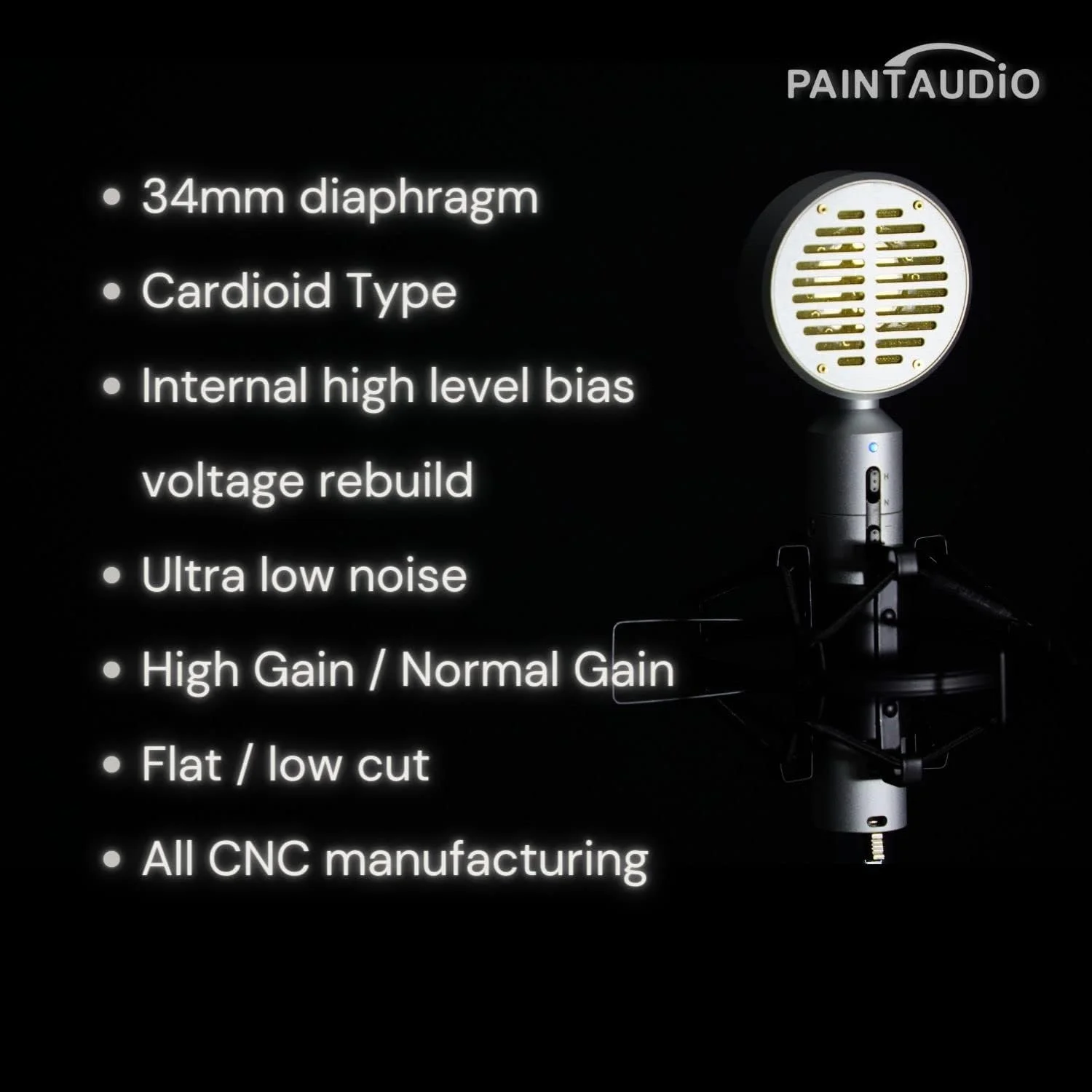 میکروفون کاندنسر دیافراگم بزرگ PaintAudio PM98 مناسب ضبط حرفه ای، استریم، پادکست، بازی، با دو سطح گین و سوییچ برش فرکانس پایین، با صدای گرم و کلاسیک (PM98-نقره ای)