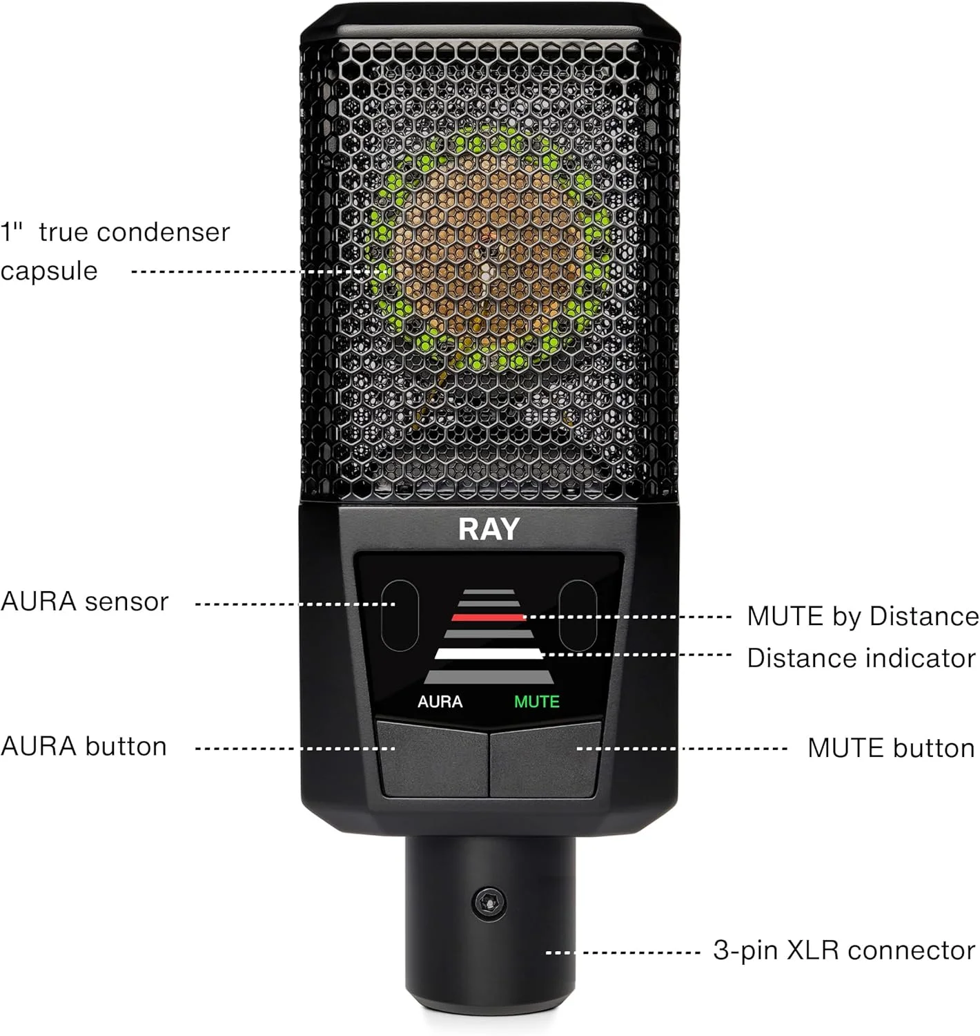 میکروفون LEWITT RAY با فناوری AURA