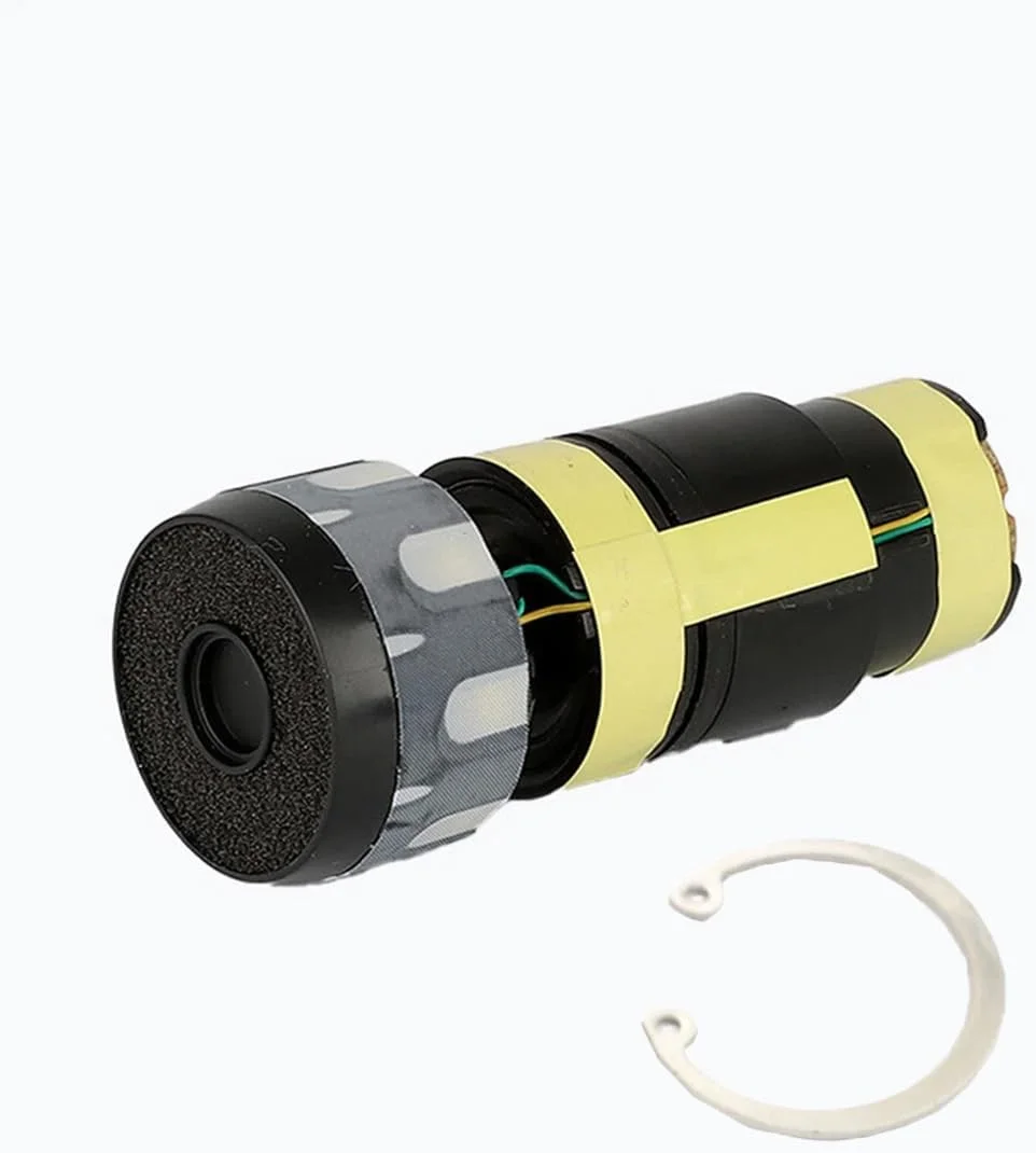 دو عدد کپسول کارتریج جایگزین برای میکروفون سیمی شور BETA58A BETA57A دو عدد کپسول کارتریج جایگزین برای میکروفون سیمی شور BETA58A BETA57A