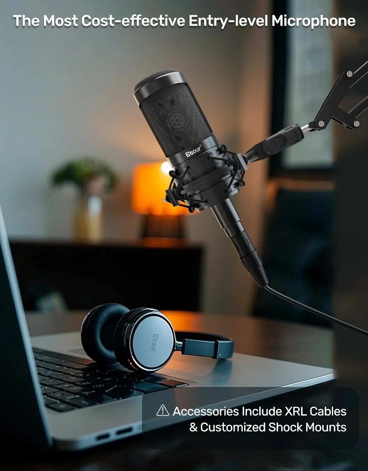 میکروفون BL-500