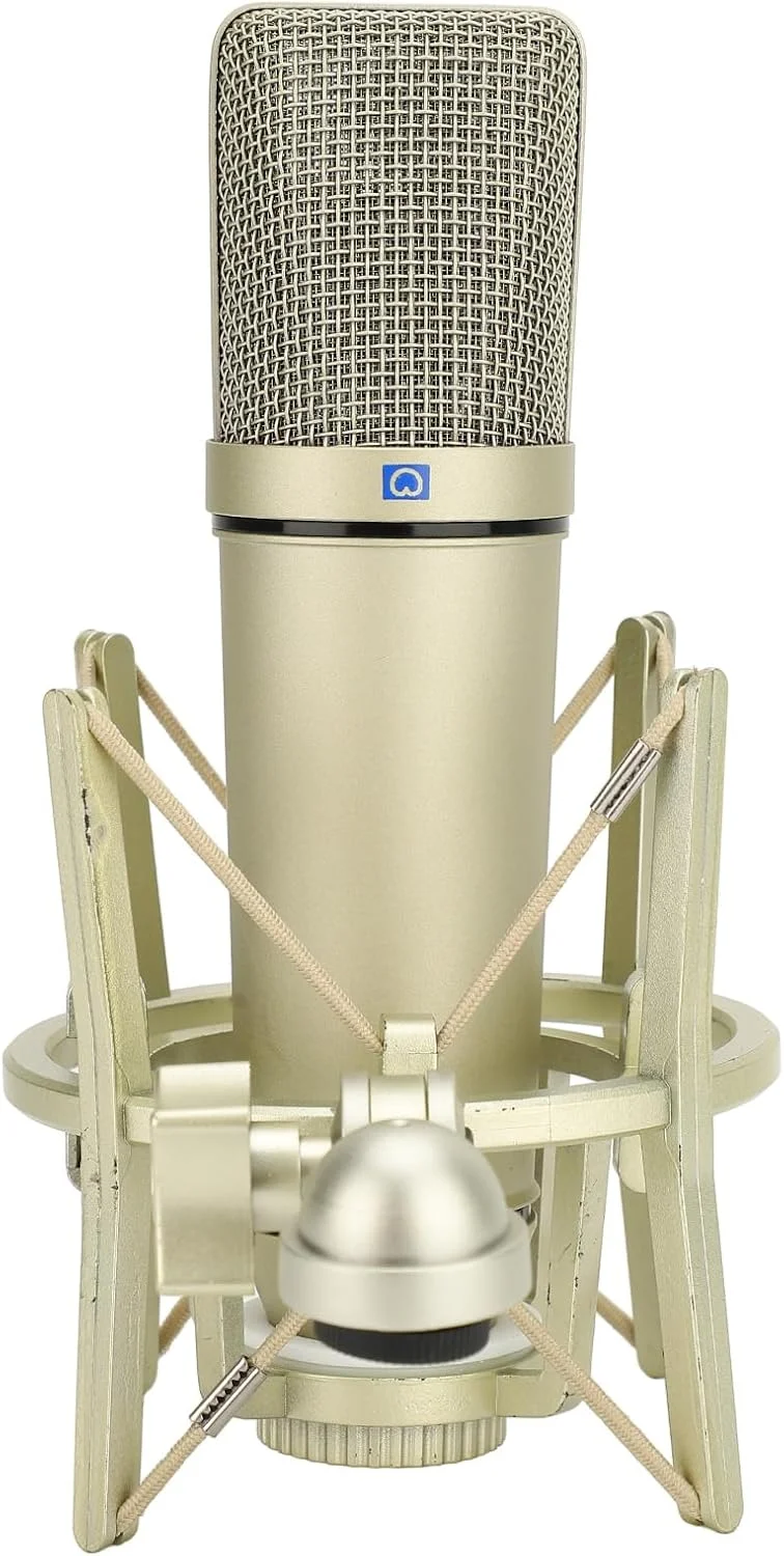 میکروفون کاندنسر BTSEURY، میکروفون کاندنسر استودیویی حرفه ای، میکروفون کاردیوئید فلزی سیمی ایده آل برای ضبط صدا، پادکست و پخش زنده میکروفون کاندنسر BTSEURY، میکروفون کاندنسر استودیویی حرفه ای، میکروفون کاردیوئید فلزی سیمی ایده آل برای ضبط صدا، پادکست و پخش زنده