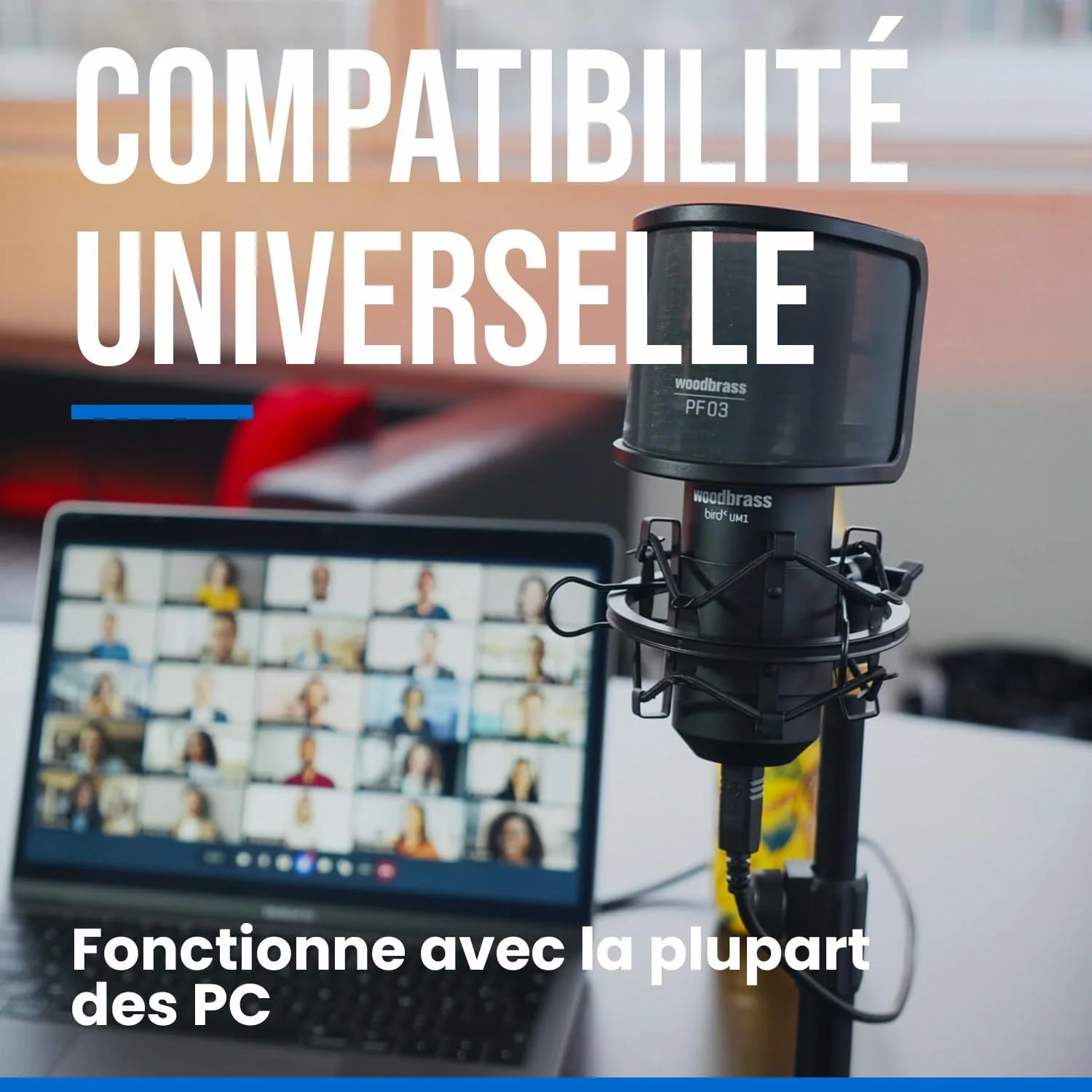 میکروفون رومیزی USB بیرد مدل UM1 - مشکی میکروفون رومیزی USB بیرد مدل UM1 - مشکی