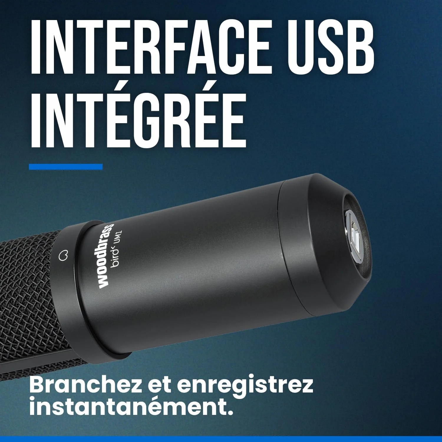 میکروفون رومیزی USB بیرد مدل UM1 - مشکی میکروفون رومیزی USB بیرد مدل UM1 - مشکی