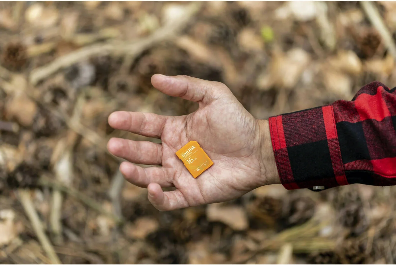 کارت حافظه سندیسک Outdoors SD UHS-I، بسته 4 عددی، ظرفیت 16 گیگابایت، مناسب برای نظارت بر حیات وحش، عکاسی در فضای باز، دوربینهای تریل و شرایط محیطی سخت | SDSDBNN-016G-AW6W4 کارت حافظه سندیسک Outdoors SD UHS-I، بسته 4 عددی، ظرفیت 16 گیگابایت، مناسب برای نظارت بر حیات وحش، عکاسی در فضای باز، دوربینهای تریل و شرایط محیطی سخت | SDSDBNN-016G-AW6W4