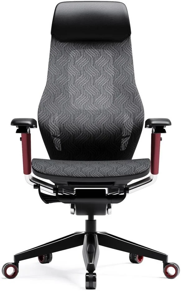 صندلی گیمینگ فوق ارگونومیک AFTERWORK GX Super، چرم اصل، پشتیبانی قابل تنظیم کمر، دسته های پدالی 5 بعدی، تنظیمات شیب نشیمنگاه و پشتی | GX Super