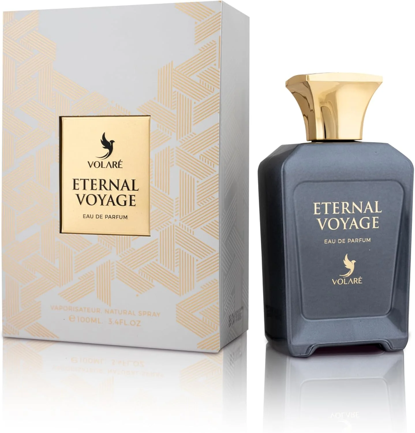 ادکلن مردانه Volare, Eternal Voyage - حجم 100 میلی لیتر | رایحه تازه دریایی و چوبی با نت های دریا، گریپ فروت، یاس و نعناع هندی