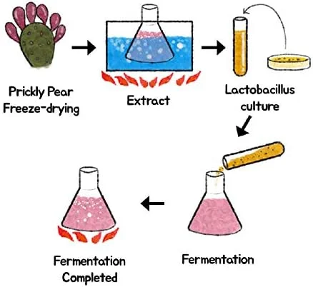 اسپری مو معطر مینی راموسو، 9 رایحه | 9.5 میلی لیتر، 9 عدد