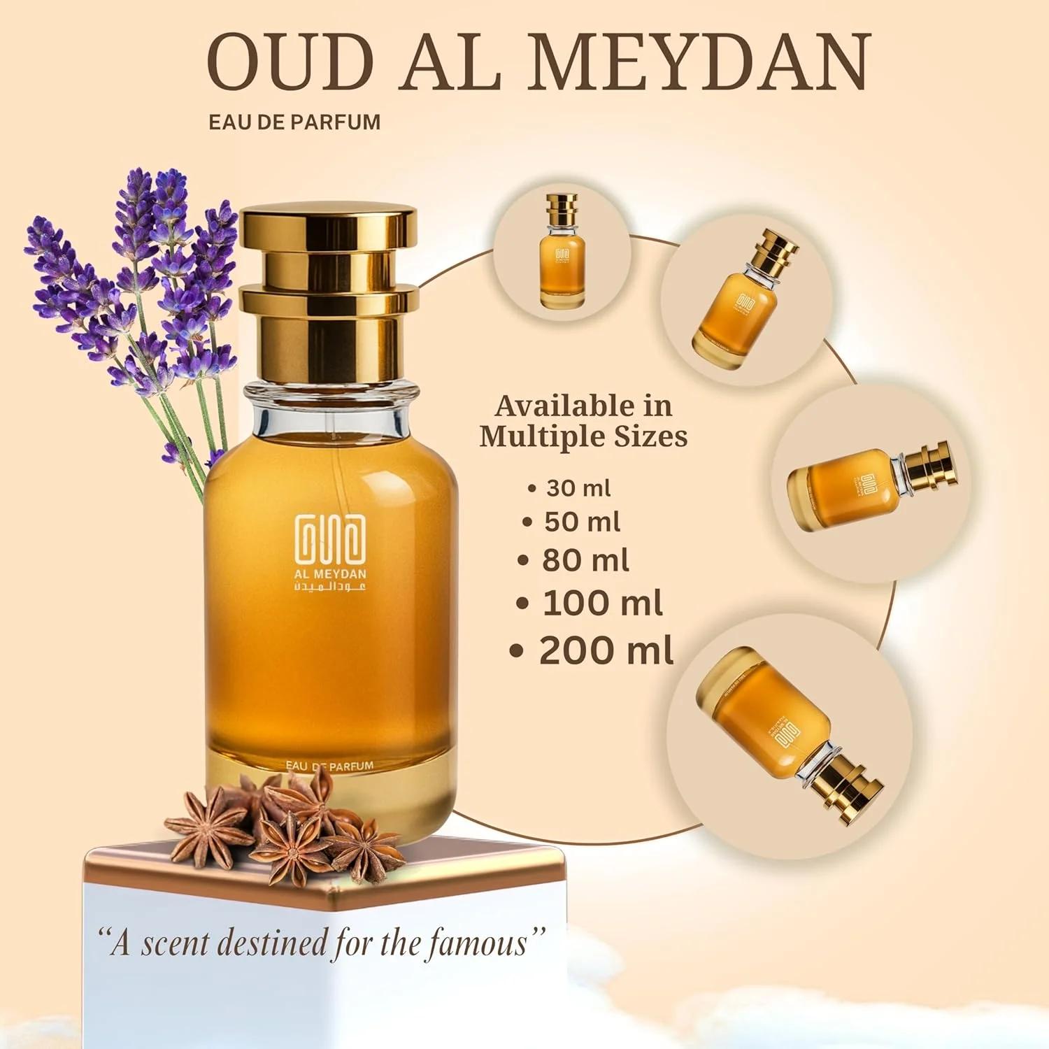 عطر روغنی مردانه عود المیدان مدل Creation الهام گرفته از 212 V.I.P Blak - ترکیبی معطر از افسنطین، وانیل و اسطوخودوس - ماندگاری طولانی برای مهمانی و شبگردی (200 میلی لیتر)