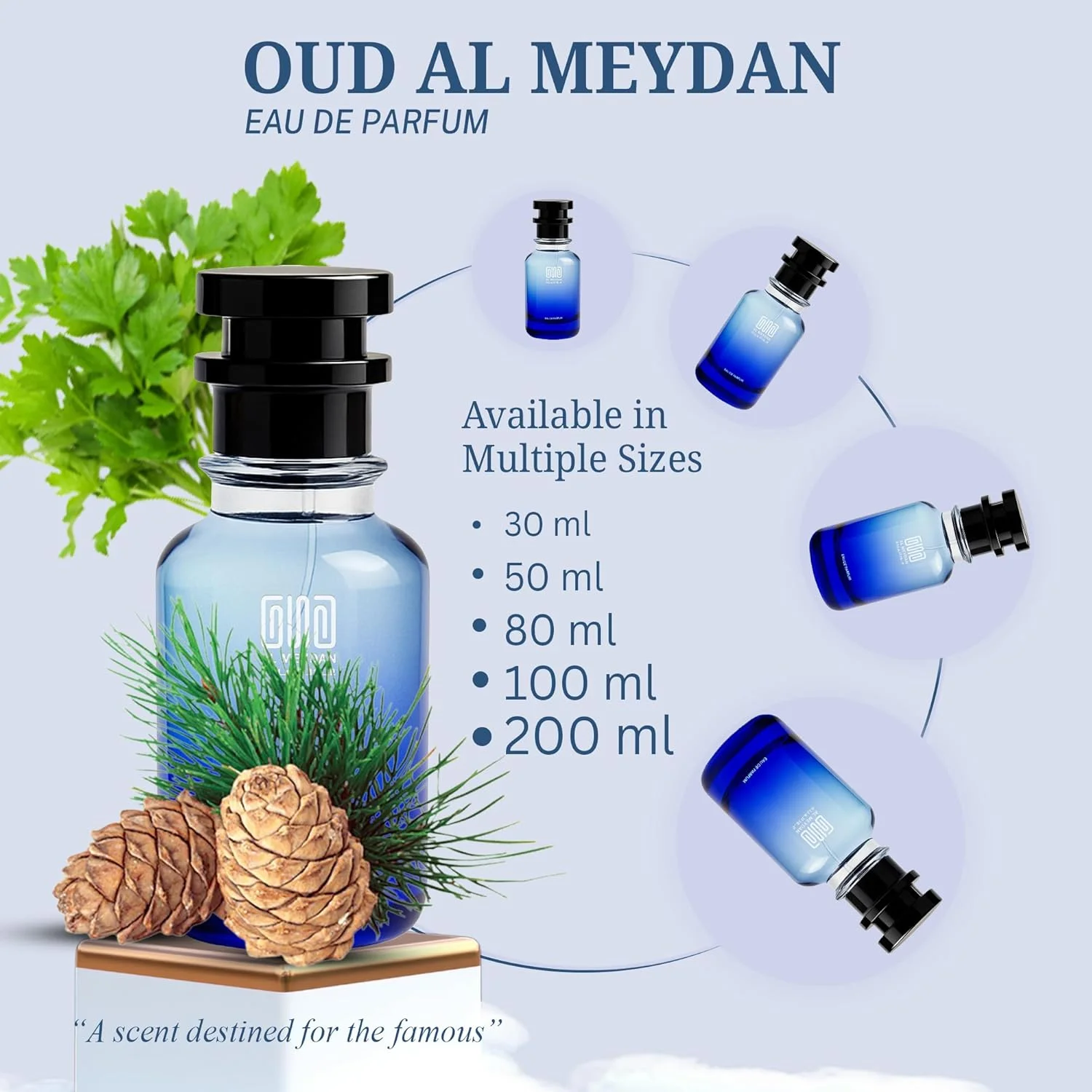 عطر روغنی برای زنان و مردان - رایحه ای از عطر عود ای دی - عطر روغنی غنی چوبی و گلی با رایحه چوب آگار، چرم و ادویه جات - رایحه ای ماندگار و بدون الکل (80 میلی لیتر)