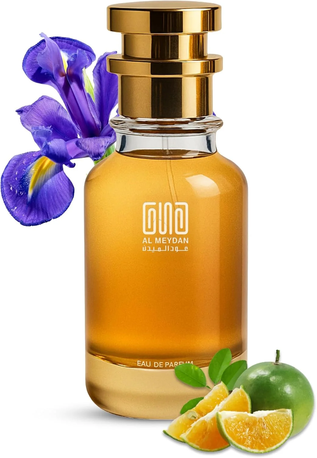 عطر روغنی مردانه – رایحه ای از اسانس مردانه Terre – رایحه چوبی خاکی بدون الکل با سیترون، کالامانسی، وتیور و زنبق – ماندگاری طولانی (80 میلی لیتر)