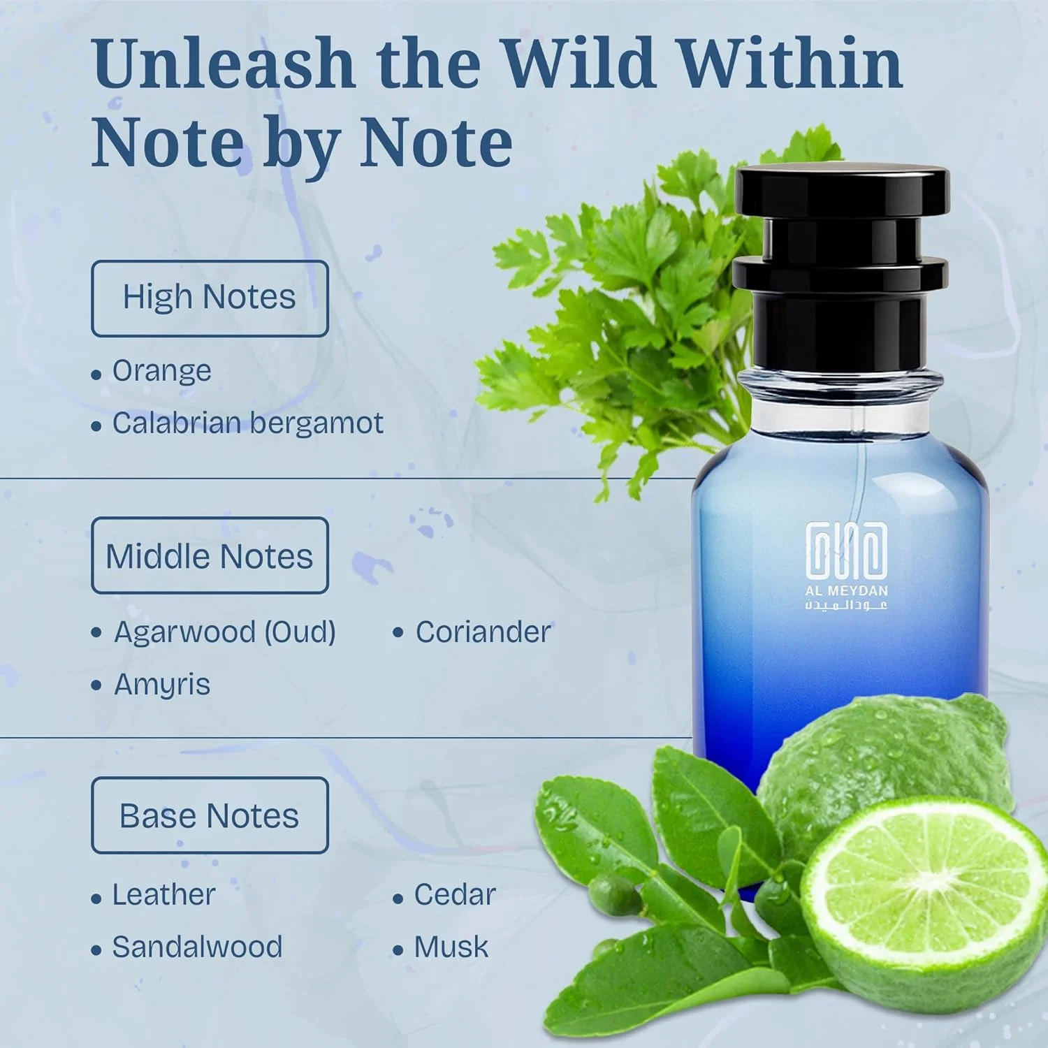 عطر روغنی برای زنان و مردان - رایحه ای از عطر عود ای دی - عطر روغنی غنی چوبی و گلی با رایحه چوب آگار، چرم و ادویه جات - رایحه ای ماندگار و بدون الکل (80 میلی لیتر)