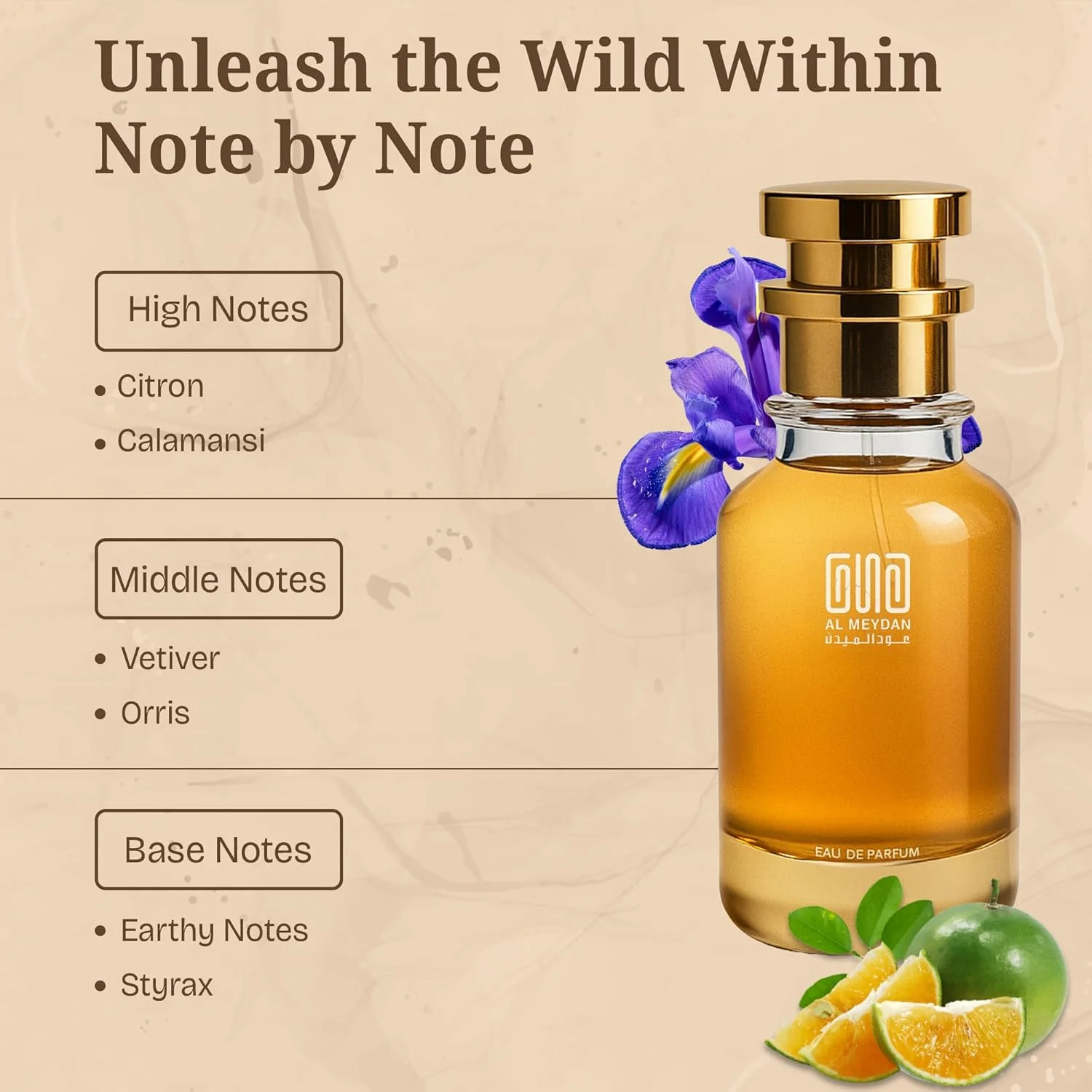 عطر روغنی مردانه – رایحه ای از اسانس مردانه Terre – رایحه چوبی خاکی بدون الکل با سیترون، کالامانسی، وتیور و زنبق – ماندگاری طولانی (80 میلی لیتر)