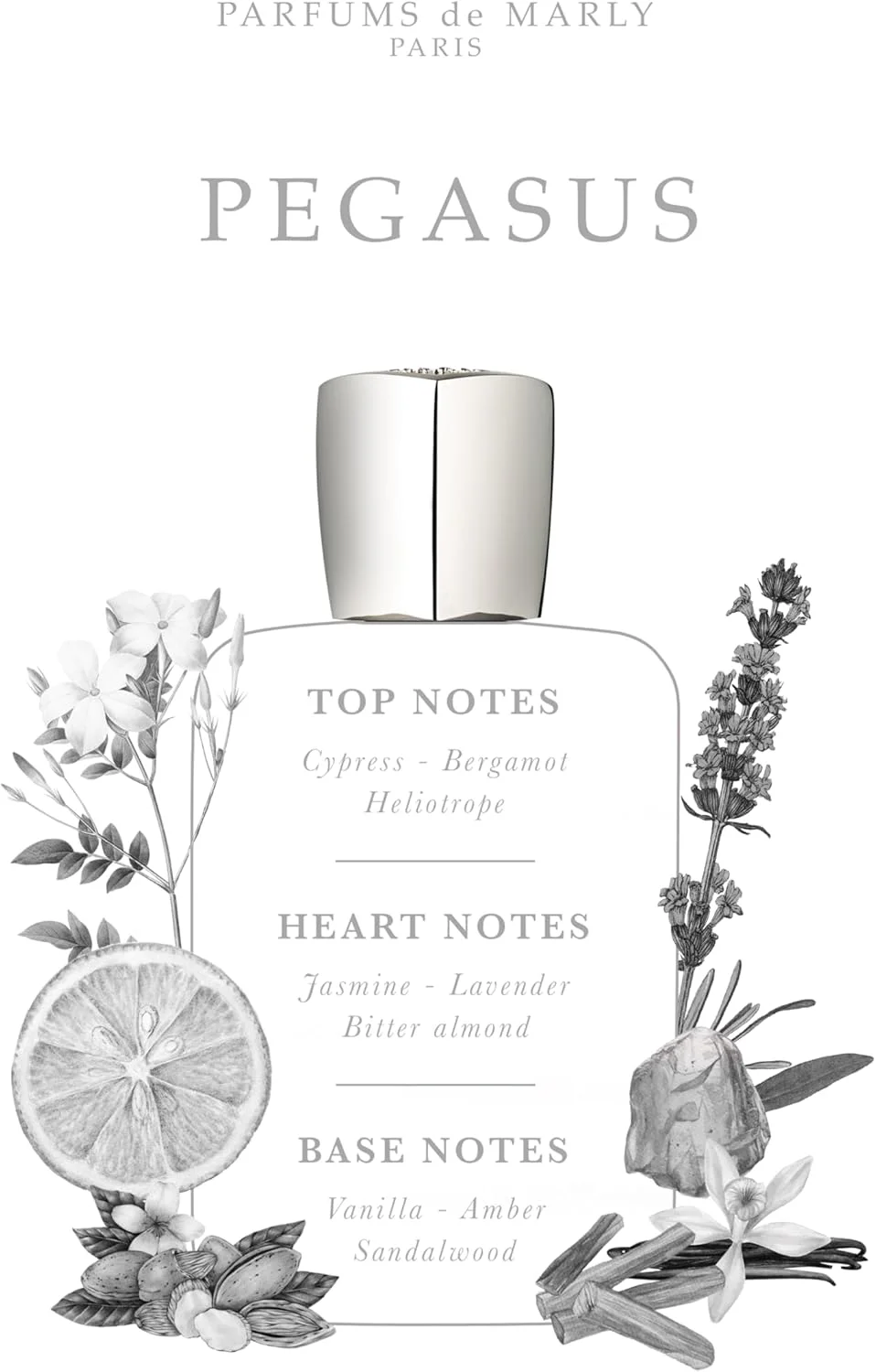 پرفیومز د مارلی پگاسوس ادو پرفیوم مردانه، 125 میلی لیتر