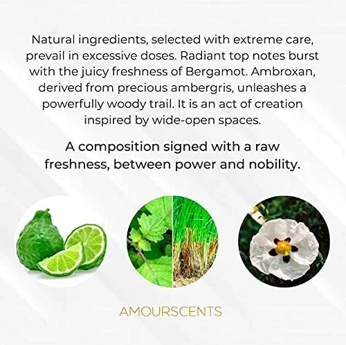 عطر مردانه آمور سنتس سویج - عطر جایگزین الهام گرفته، اکستریت د پرفیوم، رایحه مردانه - وایلد وان (50 میلی لیتر)