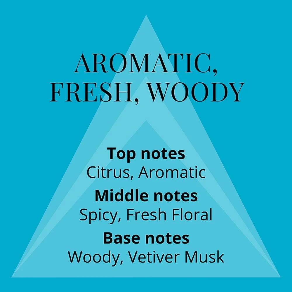 کالر می آبرستکت آرت - عطر مردانه - 90 میلی لیتر ادو پرفیوم، توسط میلتون-لوید