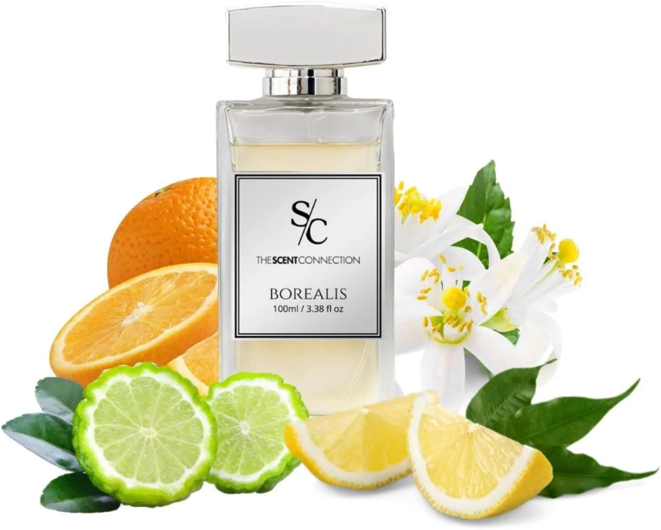 ادکلن مردانه بورئالیس - رایحه ای اسپرت، بهترین عطر، رایحه ای شگفت انگیز.