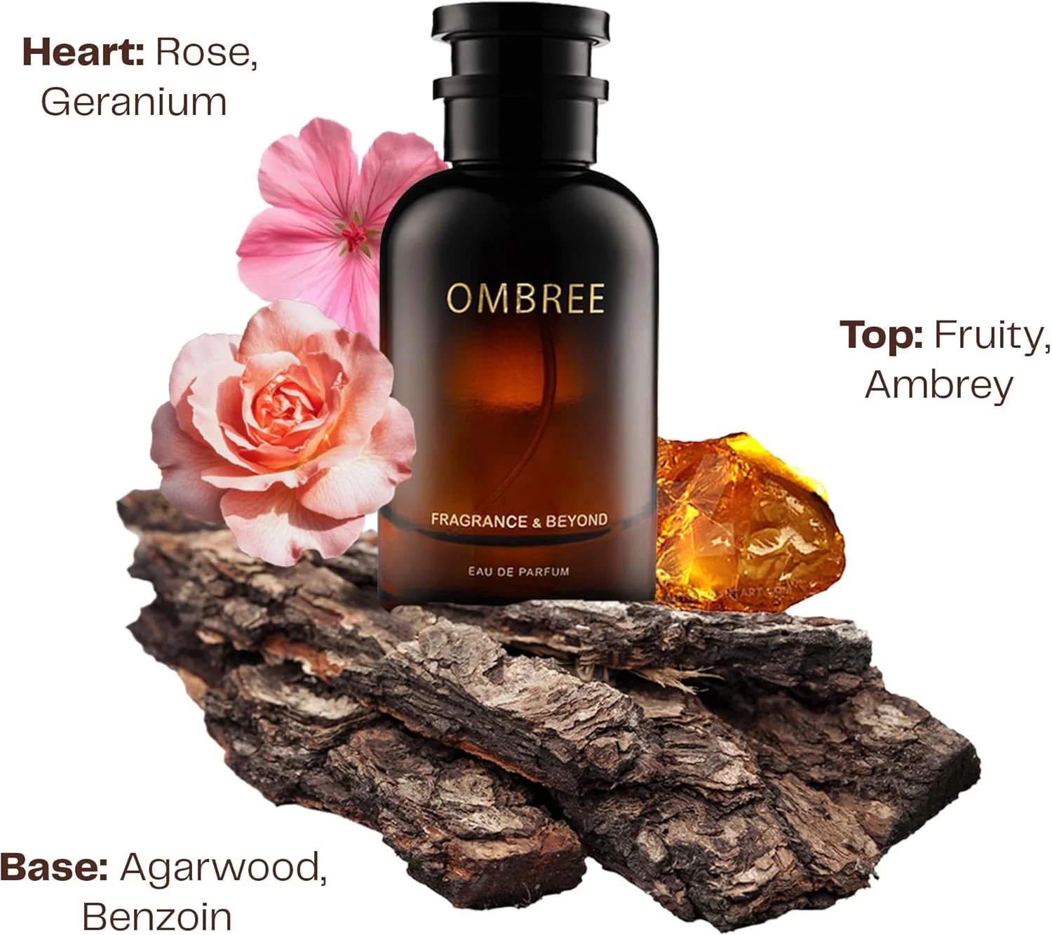 ادکلن مردانه Fragrance & Beyond Ombre با رایحه کهربا، رز و عود، رایحه چرمی، 100 میلی لیتر | عطر فرانسوی وارداتی | ماندگاری طولانی | بهترین هدیه