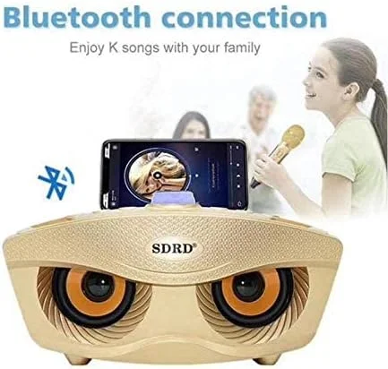 سیستم میکروفون کارائوکه بی سیم دوگانه OXOQO SD306 به همراه میکسر برای مهمانی دی جی، کلیسا، عروسی، منزل، سخنرانی