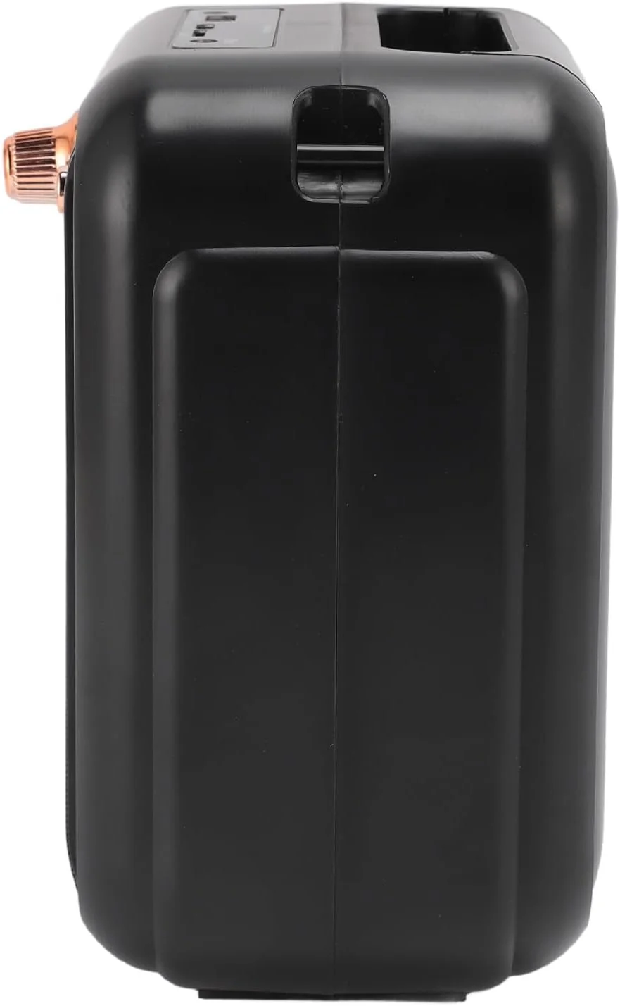 دستگاه کارائوکه، بلندگوی سبک وزن با صدای شفاف و نویز کم به همراه میکروفون برای منزل (میکروفون بی سیم دوتایی) دستگاه کارائوکه، بلندگوی سبک وزن با صدای شفاف و نویز کم به همراه میکروفون برای منزل (میکروفون بی سیم دوتایی)