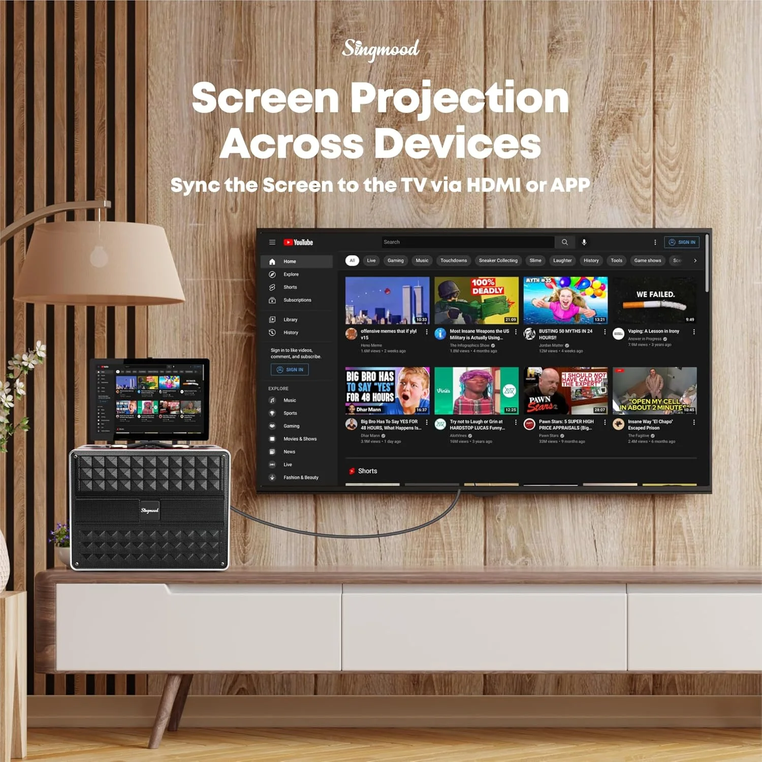 دستگاه کارائوکه با نمایشگر متن ترانه، دستگاه کارائوکه قابل حمل با 2 میکروفون بی سیم، دستگاه کارائوکه بلوتوث با حداکثر توان 800 وات