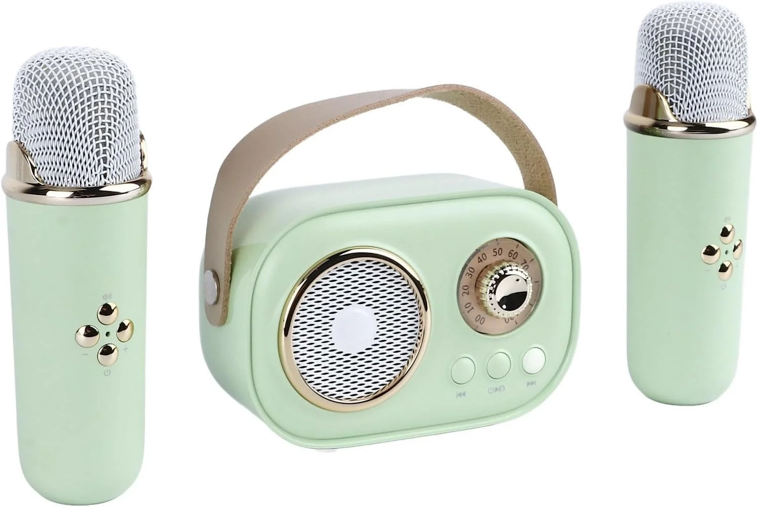 دستگاه کارائوکه کوچک با 2 میکروفون، اسپیکر قابل حمل برای مهمانی و رویدادهای فضای باز