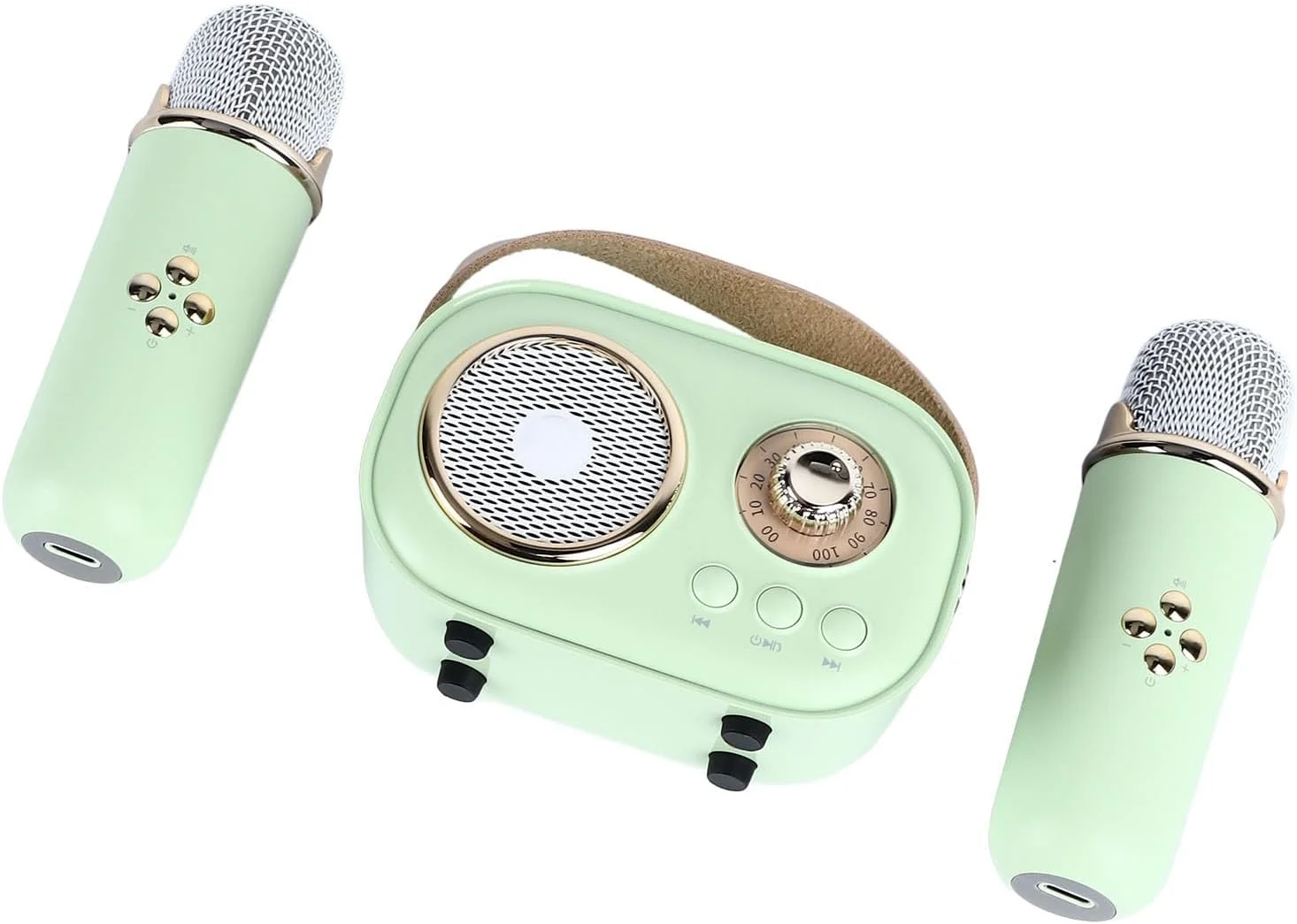 دستگاه کارائوکه کوچک با 2 میکروفون، اسپیکر قابل حمل برای مهمانی و رویدادهای فضای باز