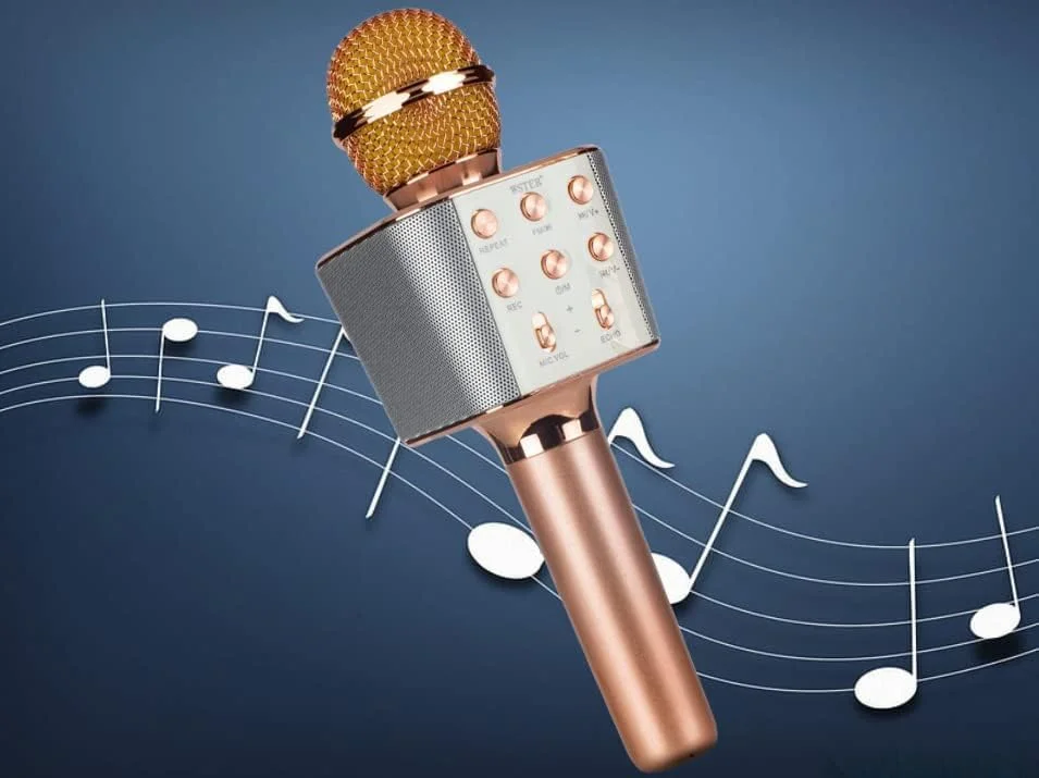 میکروفون کارائوکه بی‌سیم Rock Light، اسپیکر HiFi با رادیو FM، ضبط صدا، پشتیبانی از USB، رزگلد (رزگلد)