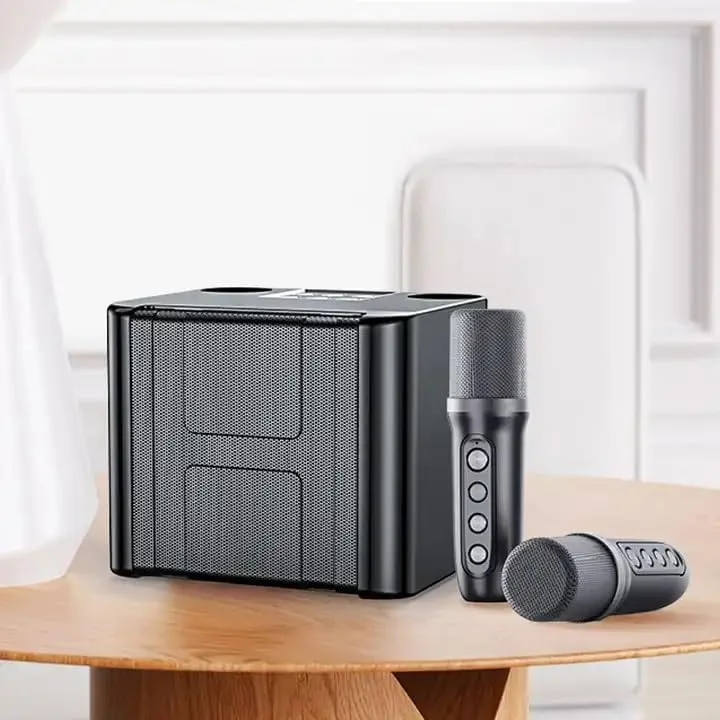 دستگاه کارائوکه REBENUO با 2 میکروفون بی سیم برای بزرگسالان و کودکان، سیستم PA بلندگوی بلوتوث قابل حمل، دستگاه آواز خواندن با اکو و حذف صدا، پشتیبانی از TF، AUX-in، برای مهمانی خانگی - مشکی. YS-111