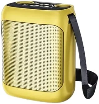 دستگاه کارائوکه REBENUO با 2 میکروفون بی سیم، سیستم بلندگوی قابل حمل با TWS، FM، REC، باتری قابل شارژ، بلوتوث 5.0، پشتیبانی از BT/USB/TF Card/Aux برای مهمانی ها و رویدادها - طلایی. YS-220