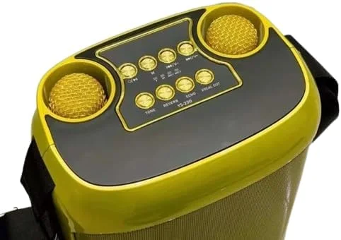 دستگاه کارائوکه REBENUO با 2 میکروفون بی سیم، سیستم بلندگوی قابل حمل با TWS، FM، REC، باتری قابل شارژ، بلوتوث 5.0، پشتیبانی از BT/USB/TF Card/Aux برای مهمانی ها و رویدادها - طلایی. YS-220