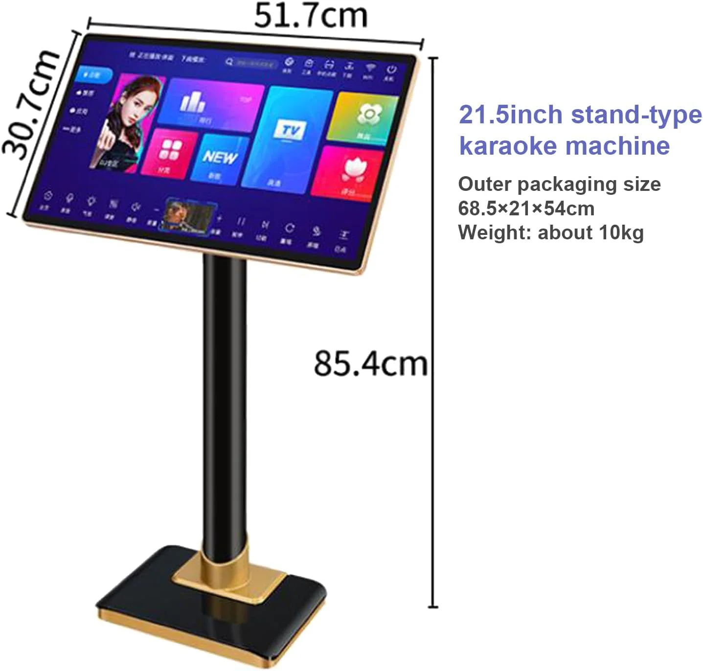 دستگاه کارائوکه حرفه ای (21.5 اینچ)، دستگاه کارائوکه صفحه نمایش، 2 × میکروفون بی سیم، عملکرد تقویت کننده قدرت + کنترل برنامه، برای خانه، بار، پشتیبانی از زبان های مختلف، A