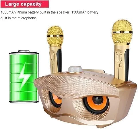 سیستم اسپیکر کارائوکه قابل حمل، دارای دو میکروفون بی سیم، سازگار با بلوتوث