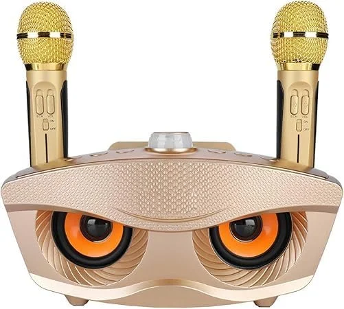 سیستم اسپیکر کارائوکه قابل حمل، دو میکروفون بی سیم، سیستم PA بلوتوث برای خانه، مهمانی ها، رویدادهای فضای باز