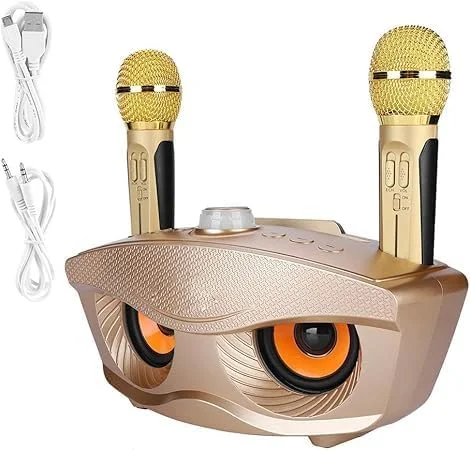 سیستم اسپیکر کارائوکه قابل حمل، دو میکروفون بی سیم، سیستم PA بلوتوث برای خانه، مهمانی ها، رویدادهای فضای باز