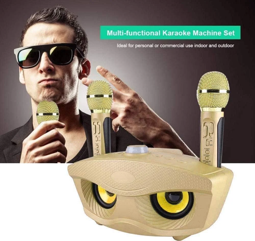 دستگاه کارائوکه قابل حمل، بلندگوی بلوتوث بی سیم با 2 میکروفون، پشتیبانی از AUX، کارت TF، دیسک U، رادیو FM برای مهمانی خانوادگی