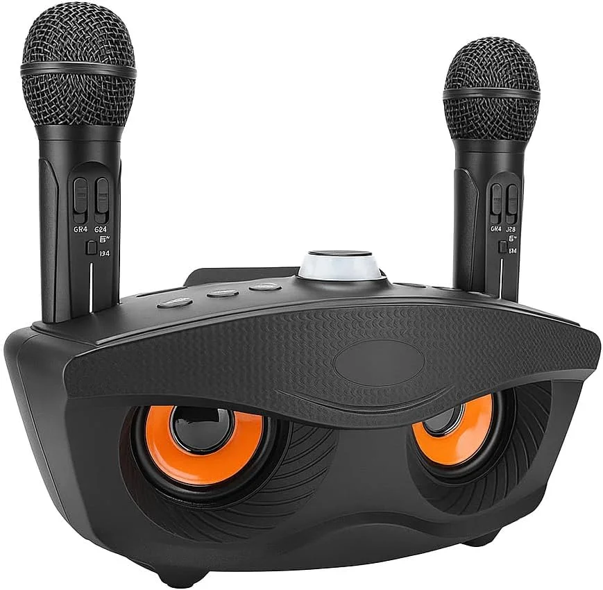 اسپیکر کارائوکه بلوتوث قابل حمل با دو میکروفون، سیستم مهمانی