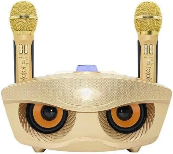 سیستم اسپیکر کارائوکه بلوتوث قابل حمل: صدای HiFi با میکروفون کندانسور