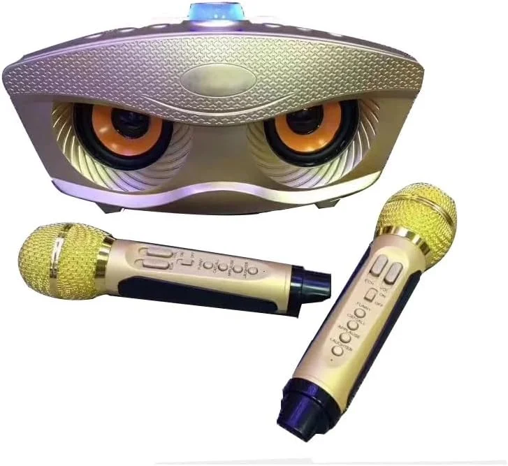 سیستم اسپیکر کارائوکه بلوتوث قابل حمل: صدای HiFi با میکروفون کندانسور