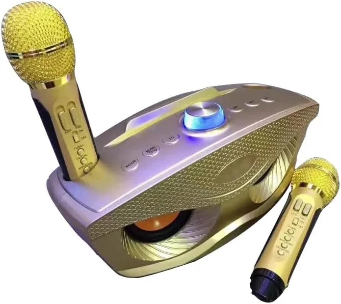 سیستم اسپیکر کارائوکه بلوتوث قابل حمل: صدای HiFi با میکروفون کندانسور