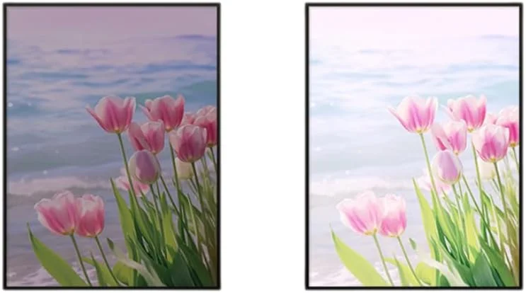 دستگاه کارائوکه با میکروفون بلوتوث و بی‌سیم برای بزرگسالان، دستگاه کارائوکه قابل حمل برای آواز خواندن، مناسب مهمانی دخترانه، پسرانه، کودک و بزرگسال