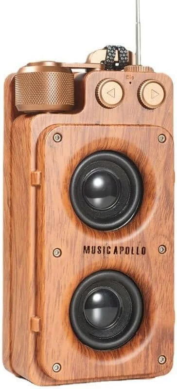 دستگاه کارائوکه با میکروفون بلوتوث و بی سیم برای بزرگسالان، دستگاه کارائوکه قابل حمل برای آواز خواندن، مناسب مهمانی، پخش کننده ضبط و بلندگو