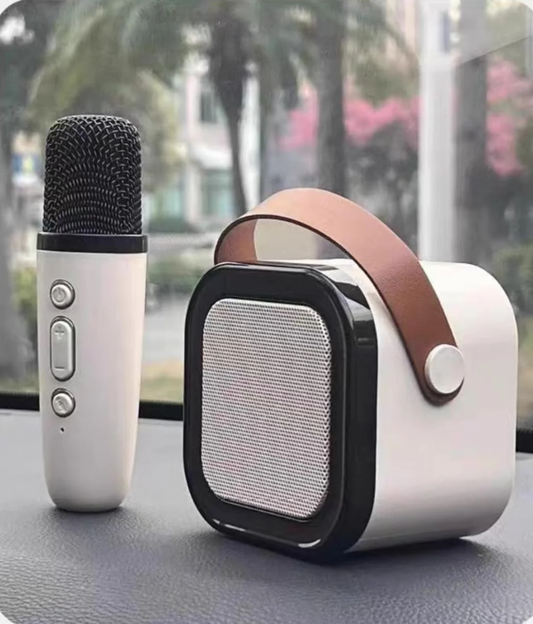 دستگاه کارائوکه کوچک ALICE برای کودکان و بزرگسالان، اسپیکر کارائوکه بلوتوث قابل حمل با میکروفون بی سیم و چراغ های رنگی LED، جشن تولد خانگی برای دختران/پسران 4، 5، 6، 7، 8، 9، 10، 11، 12 سال به بالا