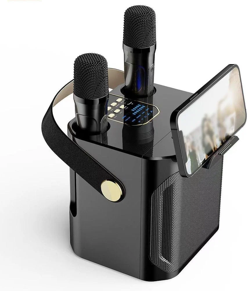 دستگاه کارائوکه با بیس عمیق و غنی، صدای قدرتمند، 2 میکروفون بی سیم، پشتیبانی از منزل، مهمانی، عروسی، پیک نیک، فضای باز