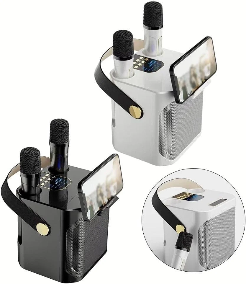 دستگاه کارائوکه با بیس عمیق و غنی، صدای قدرتمند، 2 میکروفون بی سیم، پشتیبانی از منزل، مهمانی، عروسی، پیک نیک، فضای باز