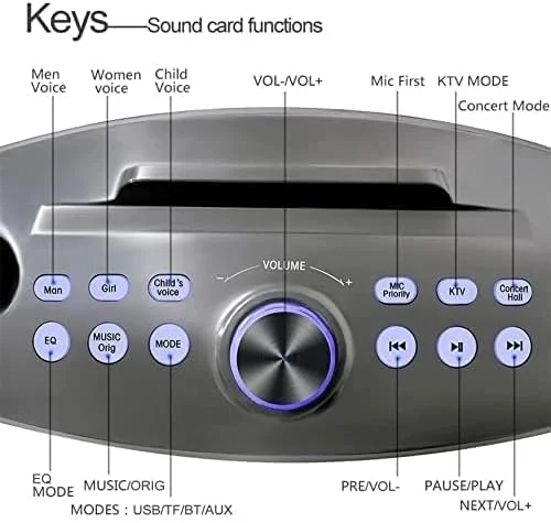 اسپیکر کارائوکه 30 واتی Crony Sd306 Plus با بلوتوث دوگانه 4.2، میکروفون استریو خانگی KTV، اسپیکر صدای بزرگ به همراه 2 میکروفون بی سیم | طلایی