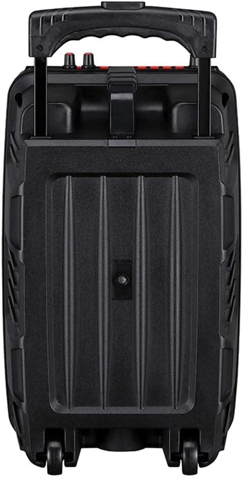 اسپیکر کارائوکه مهمانی بی‌سیم با صفحه نمایش TFT، میکروفون بی‌سیم و درگاه‌های متعدد