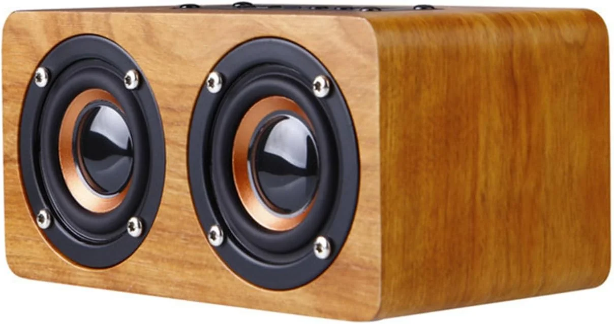 دستگاه کارائوکه بلندگوی چوبی عمومی با 2 میکروفون اتصال بی سیم برای مهمانی های موسیقی (طرح چوب قهوه ای)